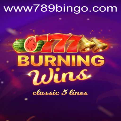 Burning Wins: The Classic Slot Experience