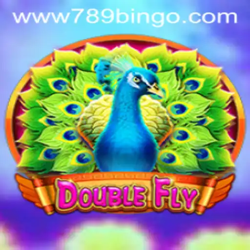 Exploring the Exciting World of DoubleFly and 789Bingo.COM