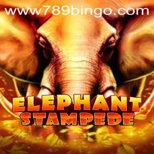 ElephantStampede: A Thrilling Adventure in the World of 789Bingo.COM